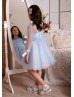 Sky Blue Polka Dot Tulle Flower Girl Dress Baby Tutu Dress Sky Blue Polka Dot Tulle Flower Girl Dress Baby Tutu Dress